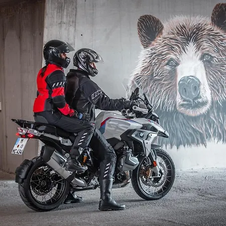 Grizzly Sport & Motorrad