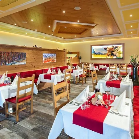 Grizzly Sport & Motorrad 4*